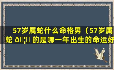 57岁属蛇什么命格男（57岁属蛇 🦆 的是哪一年出生的命运好不好）